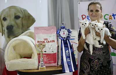 �������� ����� '���-�����-������' 22-23 ������ 2014 13-165-169A9483 copy.jpg